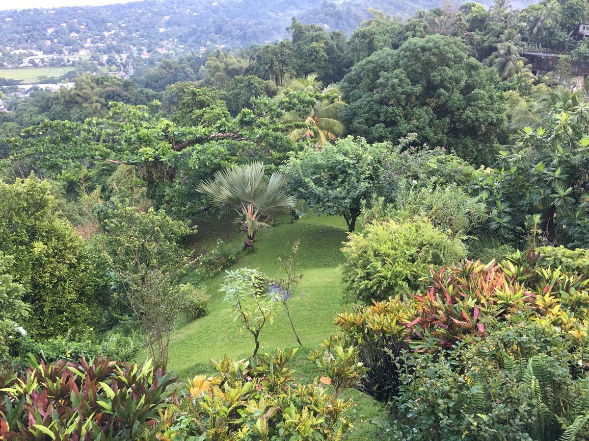 Treetops Villa Port Antonio Eksteriør bilde