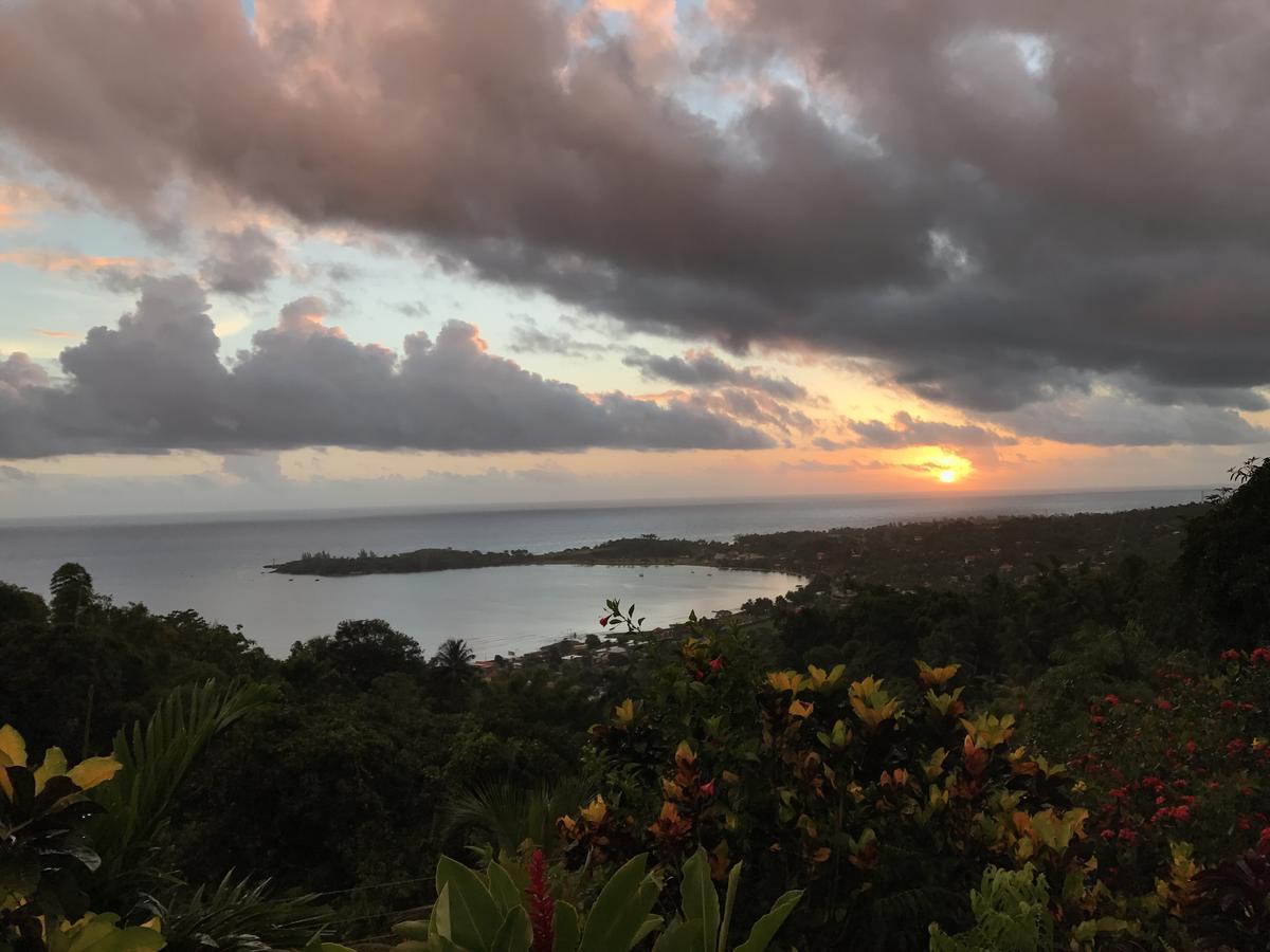 Treetops Villa Port Antonio Eksteriør bilde